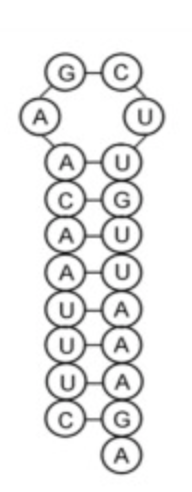 Screen Shot 2020-02-02 at 2.56.52 PM.png