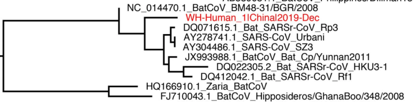 Screen Shot 2020-03-19 at 9.25.54 PM