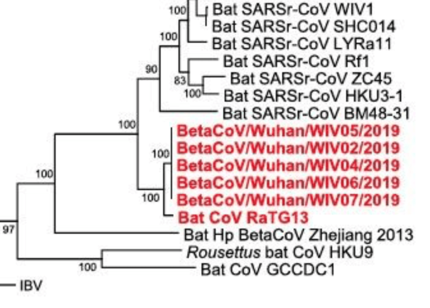 Screen Shot 2020-03-20 at 6.31.08 AM