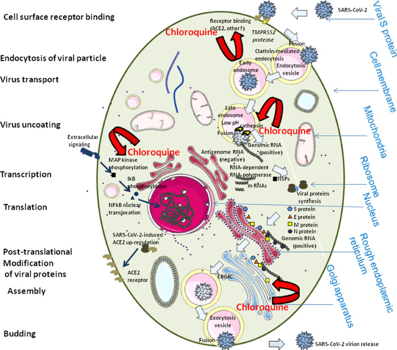 1-s2.0-S0924857920300881-gr1