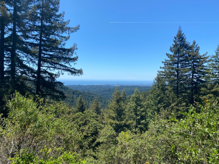 image_5d0c4796-0ff2-4700-9559-58405d46d851.img_4581