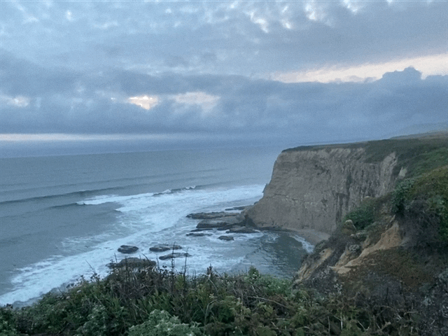 image_7548b9d2-7874-438f-8553-ff03e322f2a7.img_4154